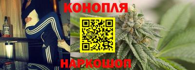 наркотики Кингисепп