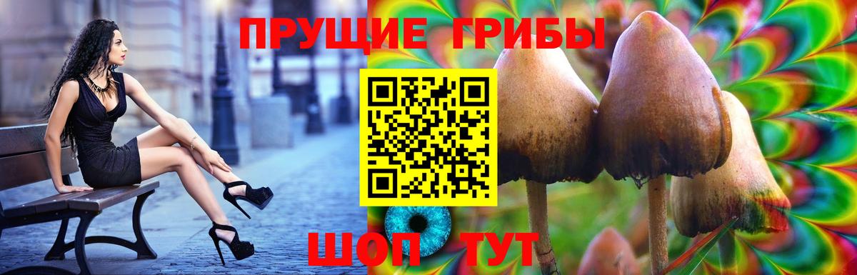 Котлас  Псилоцибиновые грибы Psilocybe  Галлюциногенные грибы прущие грибы  купить  сайты  Вход с VPN 