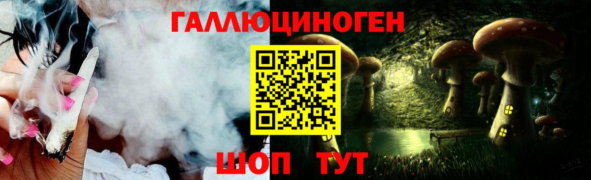 Псилоцибиновые грибы Psilocybe Котлас