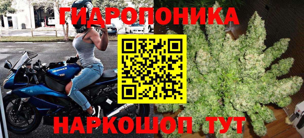 Конопля THC 21%  Вход с VPN  Марихуана White Widow  Котлас  Марихуана Bruce Banner 